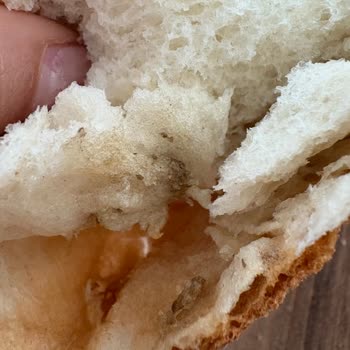 Happy Center'dan Aldığım Ekmekte Şok Edici Yabancı Madde!