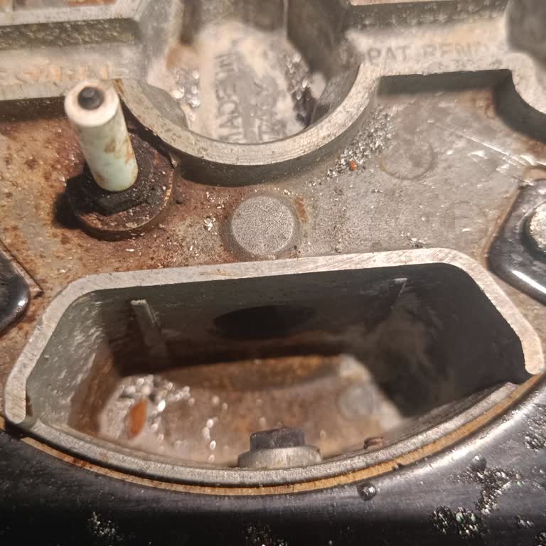 Bosch Ocakta Vidaların Kalitesizliği Ve Tekrarlayan Sorunlar