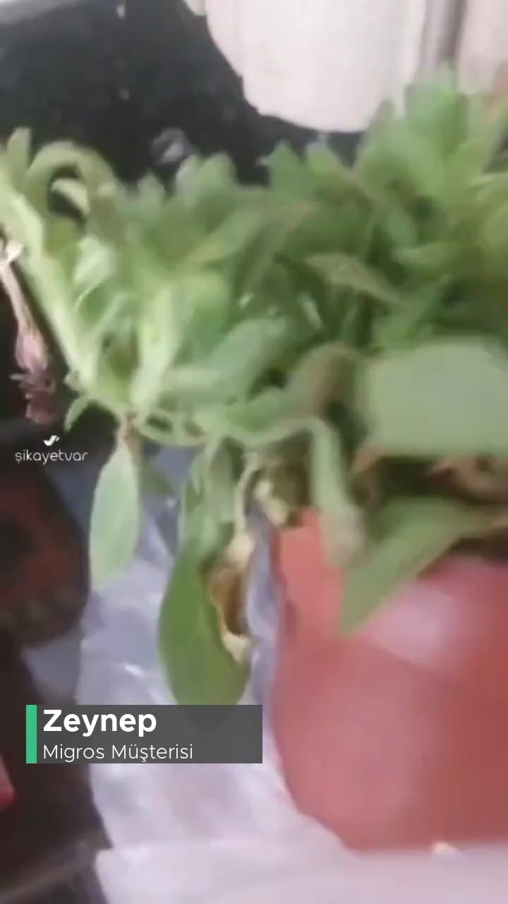 Migros Kurumuş Çiçek Geldi! videonun kapak resmi