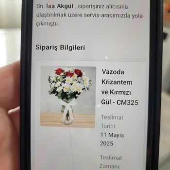 Anneler Günü Çiçeği Hayal Kırıklığı Ve Karınca Sorunu