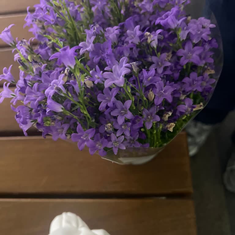 Kuzu Effect Avm Yakıştıramadım Bu Tavrı