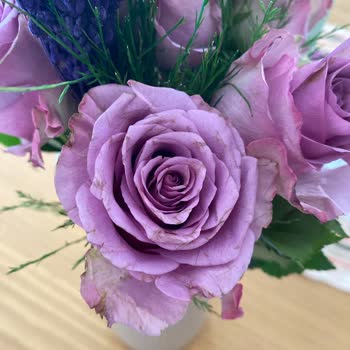 Anneler Günü'nde Gönderilen Mor Güller Çürük Ve Solmuş Geldi