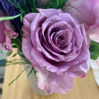 Anneler Günü'nde Gönderilen Mor Güller Çürük Ve Solmuş Geldi