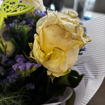 Anneler Günü Siparişimde Çürük Çiçek Teslimatı Ve Yetersiz Çözüm