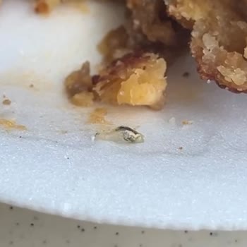 Yemekhanede Hijyen Sorunu Ve Yetersiz Hizmet