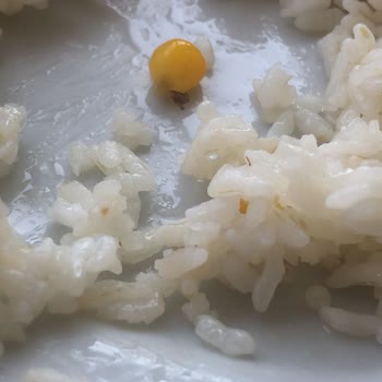 Yemekhanede Hijyen Sorunu Ve Yetersiz Hizmet