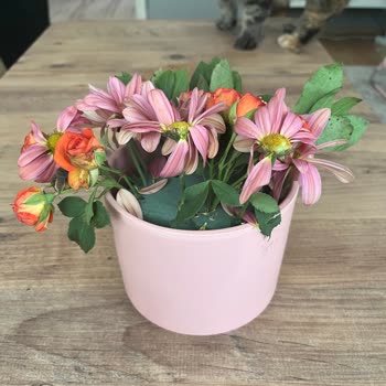 Anneler Günü Siparişimde Görselden Farklı Ve Kalitesiz Çiçek Gönderildi