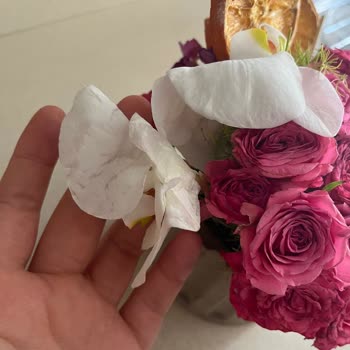 Taze Çiçek | Tazecicek.com Anneler Günü Siparişimde Çürük Ve Geç Teslim Edilen Çiçek Mağduriyeti