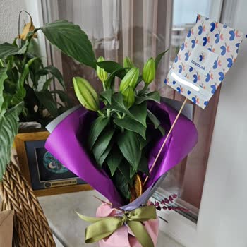 Görseldeki Gibi Açmış Çiçek Gönderilmedi, Talebim Dikkate Alınmadı