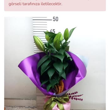 Görseldeki Gibi Açmış Çiçek Gönderilmedi, Talebim Dikkate Alınmadı