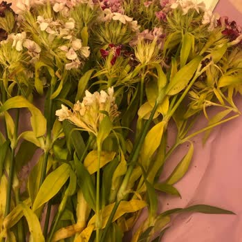 Anneler Günü'nde Hayal Kırıklığı: Kusurlu Ve Özensiz Çiçek Teslimatı