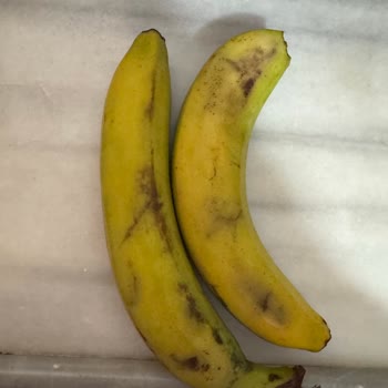 Migros Hemen Siparişimde Çürük Ve Eksik Ürünler Teslim Edildi İade Süreci De Sonuçsuz