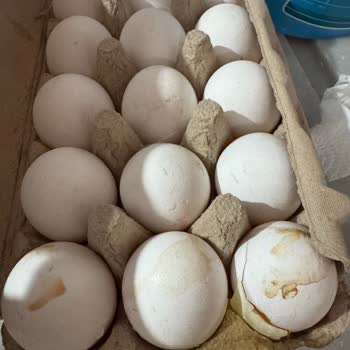 Migros Hemen Siparişimde Çürük Ve Eksik Ürünler Teslim Edildi İade Süreci De Sonuçsuz