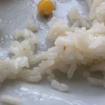 Aşhan Yemek Hijyen Sorunu Ve Artan Fast Food Fiyatları Öğrencileri Mağdur Ediyor!