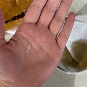 Aşhan Yemek Hijyen Sorunu Ve Artan Fast Food Fiyatları Öğrencileri Mağdur Ediyor!