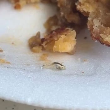 Aşhan Yemek Hijyen Sorunu Ve Artan Fast Food Fiyatları Öğrencileri Mağdur Ediyor!