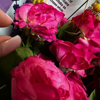 Anneler Günü Çiçeği Beklenenden Kötü Ve Para İadesi Talebi