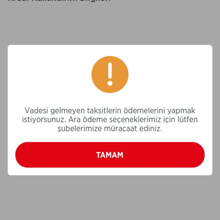 Kredi Taksitimi Ödeyemiyorum Vadesi Gelmeyen Ödeme Hatası