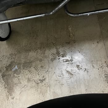 Hastanede Temizlik Ve İlgi Eksikliği, Personel Davranışları Sorunu