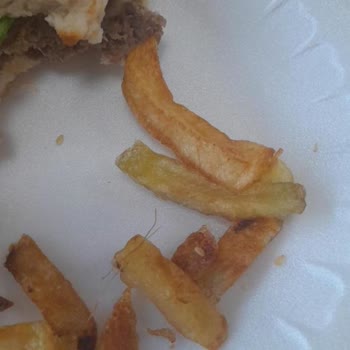 KYK Yurdunda Yemeklerde Hijyen Ve Kalite Sorunları Öğrencilerin Sağlığı Tehlikede