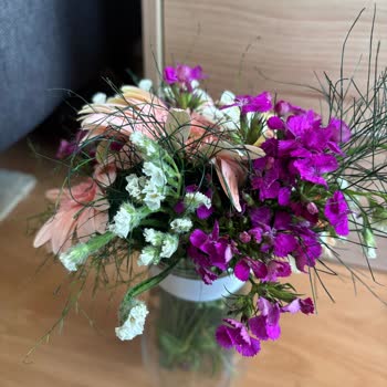 Anneler Günü Çiçeği Görselden Tamamen Farklı Geldi!