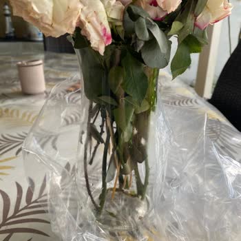 Siparişimde Solmuş Ve Bakımsız Çiçekler Gönderildi, Büyük Hayal Kırıklığı Yaşadım