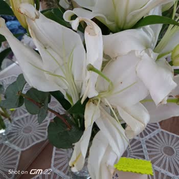 Anneler Günü'nde Solmuş Ve Beklentileri Karşılamayan Çiçek Teslimatı