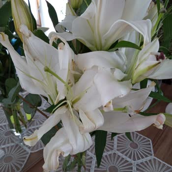 Anneler Günü'nde Solmuş Ve Beklentileri Karşılamayan Çiçek Teslimatı