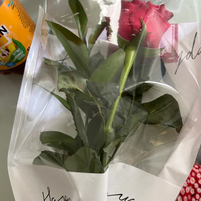 Mira Rose Flowers Antalya'da Yapılan Kaba Tavır