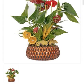 Şişli Sabuncakis Çiçek Siparişimle Alakasız, Özensiz Ve Düşük Kaliteli Çiçek Gönderildi!