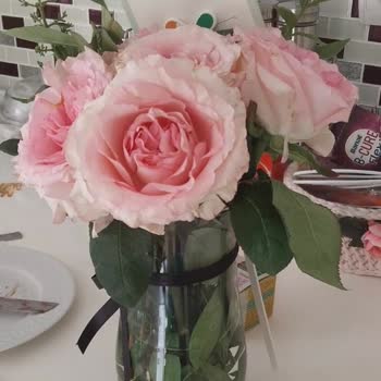 Anneler Günü Siparişim Görselden Farklı Geldi, Destek Ekibi İlgilenmiyor