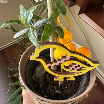 Anneler Günü'nde Dağılmış Ve Eksik Çiçek Teslimatı Hayal Kırıklığı Yarattı