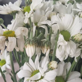 Kaleiçi Flowers Tam Anlamıyla İşi Ticarete Döken Bir İşletme