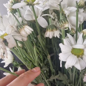 Kaleiçi Flowers Tam Anlamıyla İşi Ticarete Döken Bir İşletme