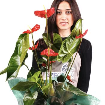 Satılan Ürünle Gönderilen Ürün Farklı İade Ve Değişim Yapılmıyor