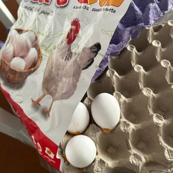 Yumurta Kolisinde Kırıkların Gizlenmesi Ve Haksız Kazanç İddiası