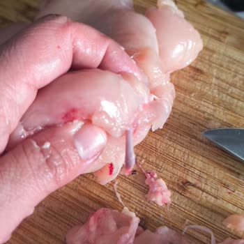 Tavuk Göğsünde Kan Ve Kemik Sorunu