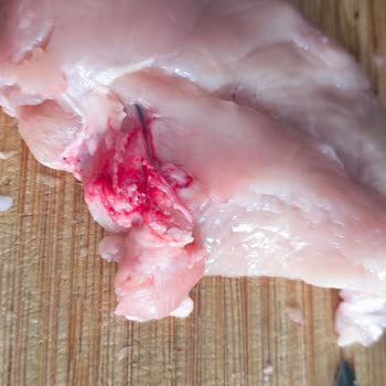 Tavuk Göğsünde Kan Ve Kemik Sorunu