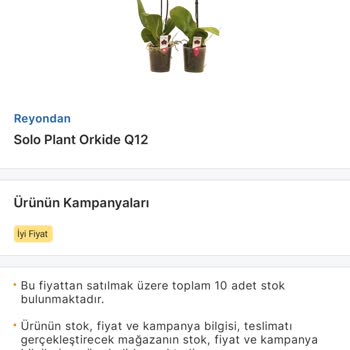 Migros'tan Sipariş Edilen Orkide Beklentileri Karşılamadı