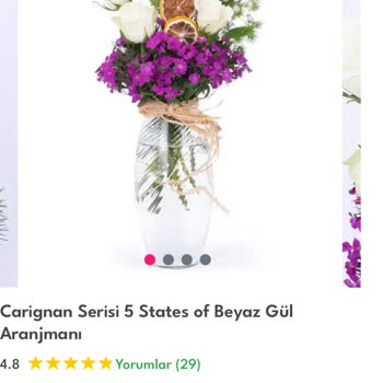 Gönderilen Çiçek Seçtiğimden Farklı Ve Solmuş Geldi