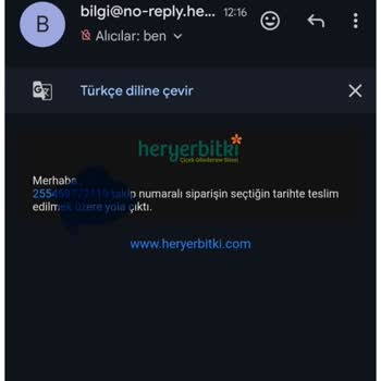 Anneler Günü Çiçek Siparişim Teslim Edilmedi, Müşteri Hizmeti Yetersiz