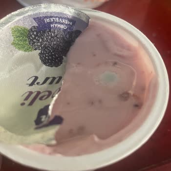 Taze Tarihli Yoğurtların Sürekli Bozuk Çıkması Mağduriyet Yaratıyor