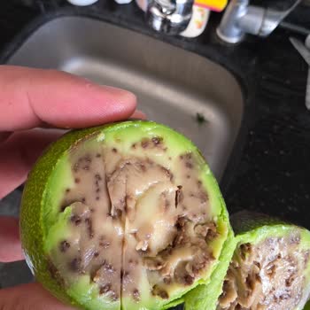 Migros'tan Aldığım Avokadoların Çürük Çıkması Ve İade Talebim