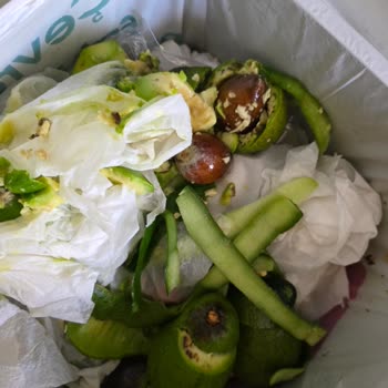 Migros'tan Aldığım Avokadoların Çürük Çıkması Ve İade Talebim