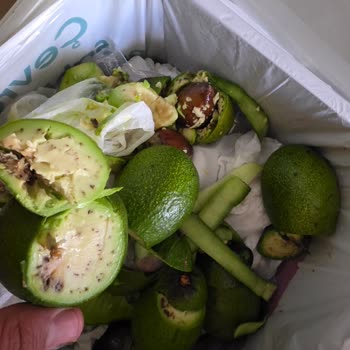 Migros'tan Aldığım Avokadoların Çürük Çıkması Ve İade Talebim