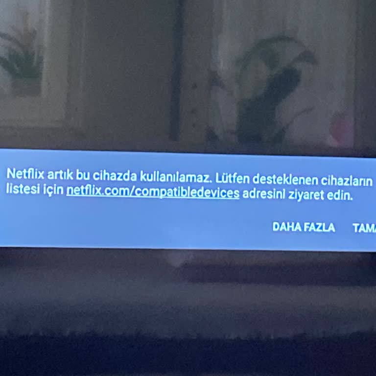 Onvo Smart TV'de Netflix Sorunu Ve Güncelleme Eksikliği