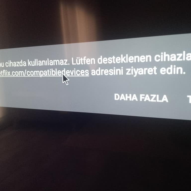 Onvo TV'de Netflix Uygulaması Çalışmıyor