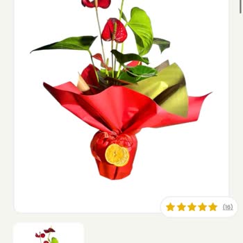 Anneler Günü İçin Sipariş Edilen Çiçek Görseldekiyle Uyuşmuyor Ve Müşteri Hizmetlerine Ulaşılamıyor