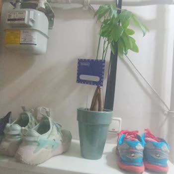 Anneler Günü İçin Sipariş Edilen Çiçek Görseldekiyle Uyuşmuyor Ve Müşteri Hizmetlerine Ulaşılamıyor