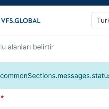 VFS Global Randevu Sistemi Hataları Ve Cevapsızlık Mağduriyeti